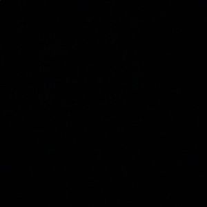 Meet your Posher, Sophia